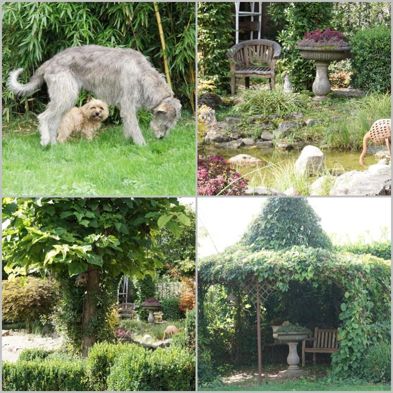 garten 1.8.26.jpg